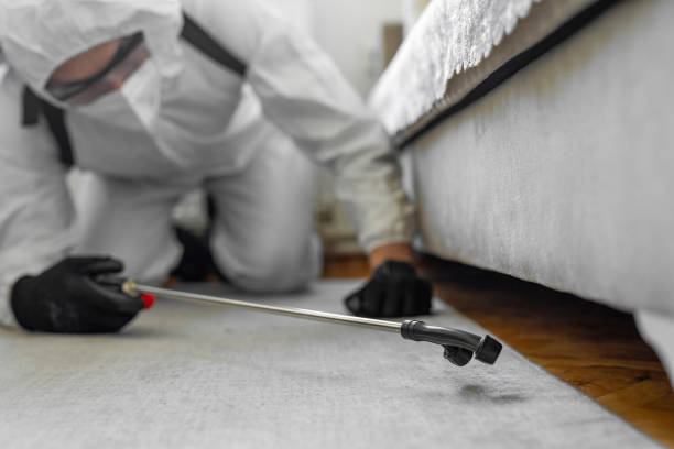 Professional Bed Bug Control technician working in New Cumberland, WV