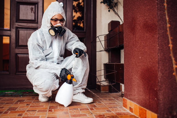 Reliable Bed Bug Control contractor in New Cumberland, WV by Nex Pest Control